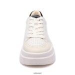 ⁦נעלי ספורט אופנתיות אימפולס נשים 80RTXL13 ASH נעלי ספורט לבן / טלק / שחור⁩ – תמונה ⁦3⁩